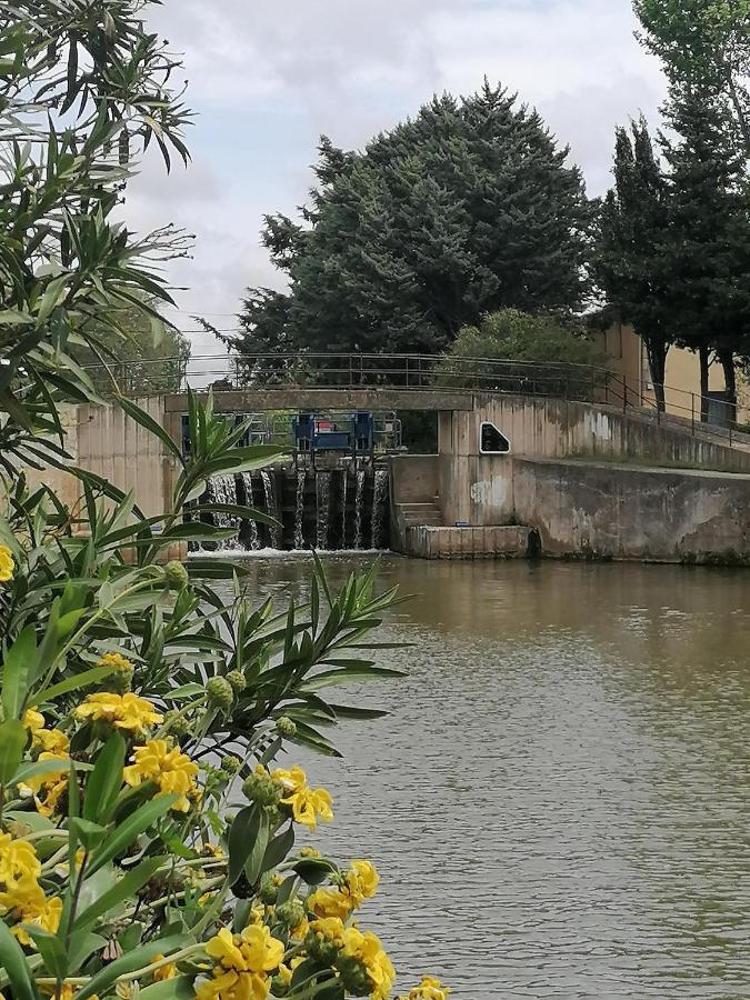 Villa Sainte Marie Narbonne Luaran gambar